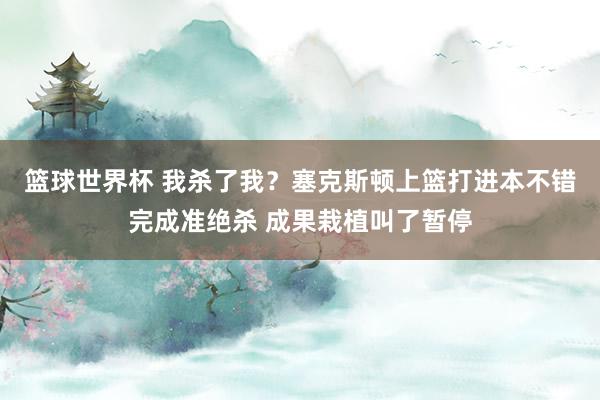 篮球世界杯 我杀了我？塞克斯顿上篮打进本不错完成准绝杀 成果栽植叫了暂停