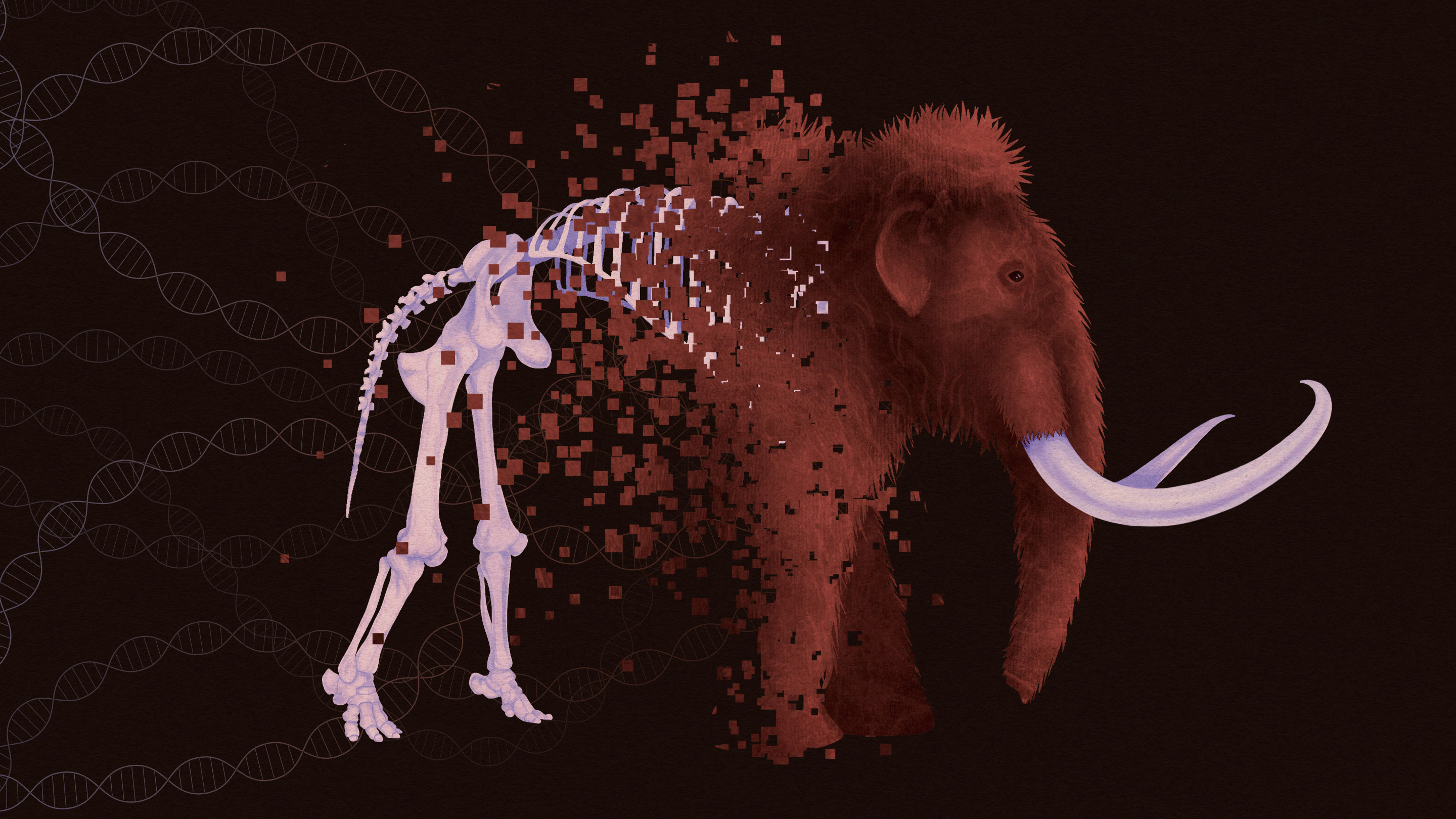 Hairy Elephants (Mammoths) are a Myth